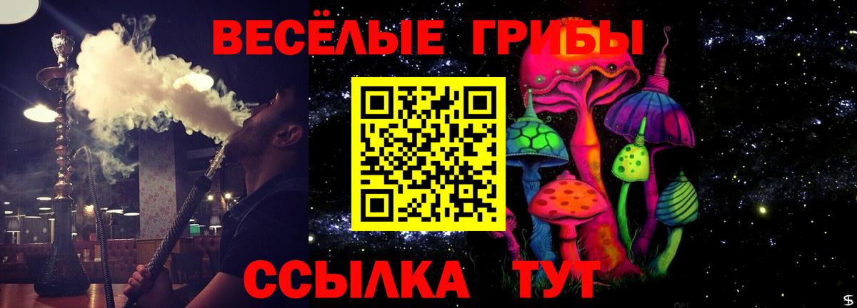 Каспийск  Галлюциногенные грибы ЛСД  Вход с VPN 